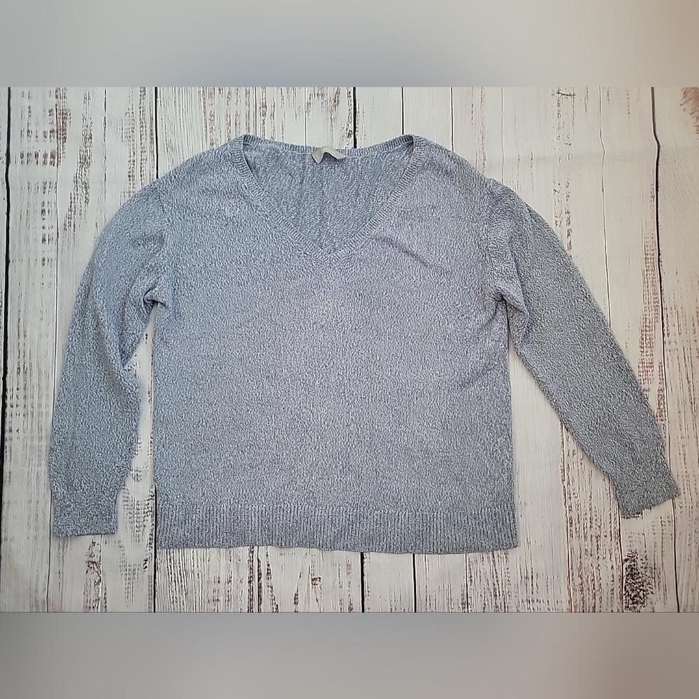Everlane Soft Cotton V-Neck Pullover Sweater Relaxed Boxy Blue Small